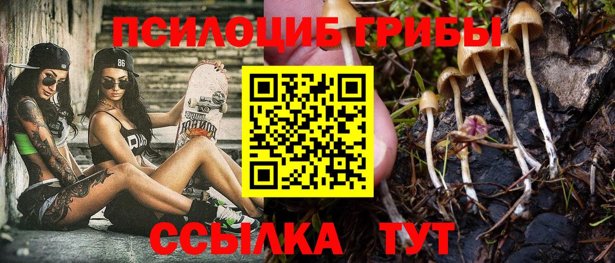 Псилоцибиновые грибы мицелий Кострома