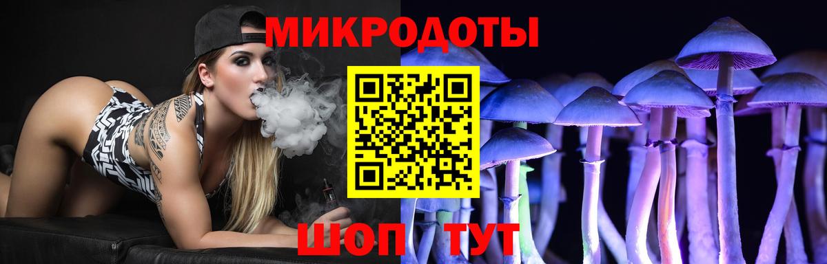 Кострома  Псилоцибиновые грибы MAGIC MUSHROOMS  Вход с VPN 